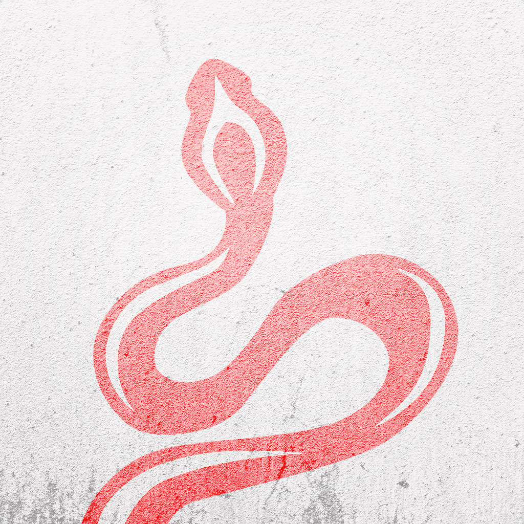 Logo design for Cobra Shop by Ana Balog design