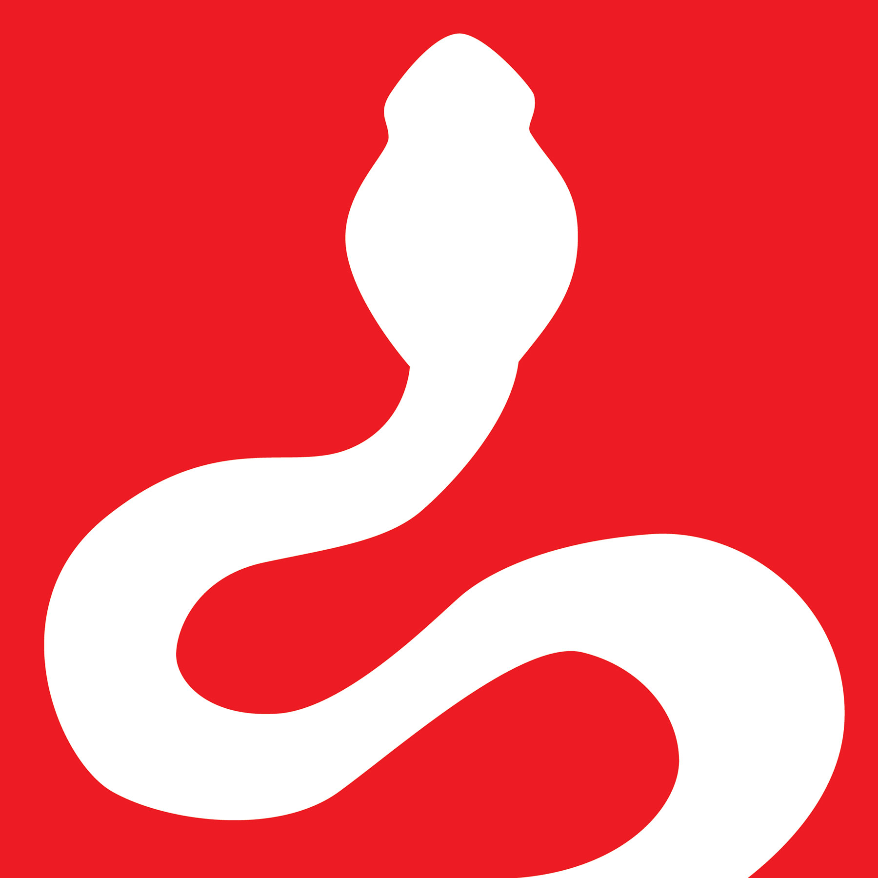 Logo design for Cobra shop